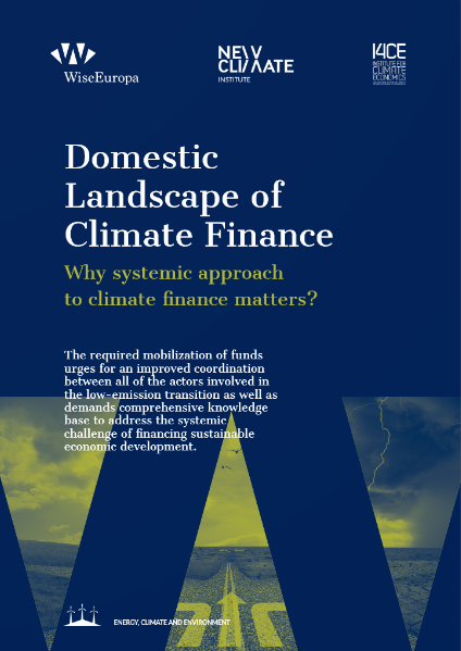 Domestic_Landscape_Climate_Finance_policy_paper