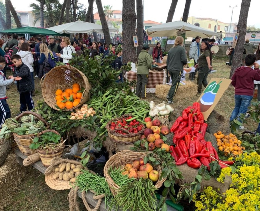 Vegetable display at farmers market in Piedimonte. You can see oranges, peppers, potatoes, artichokes and other vegetables and fruits.