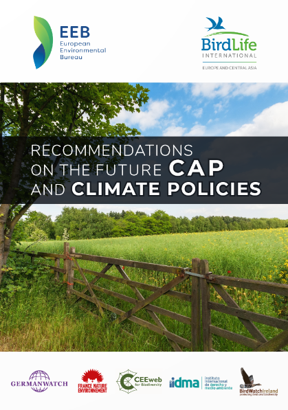 Recommendations-on-the-Future-CAP-and-Climate-Policies
