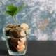 A glass full of coins and a plant