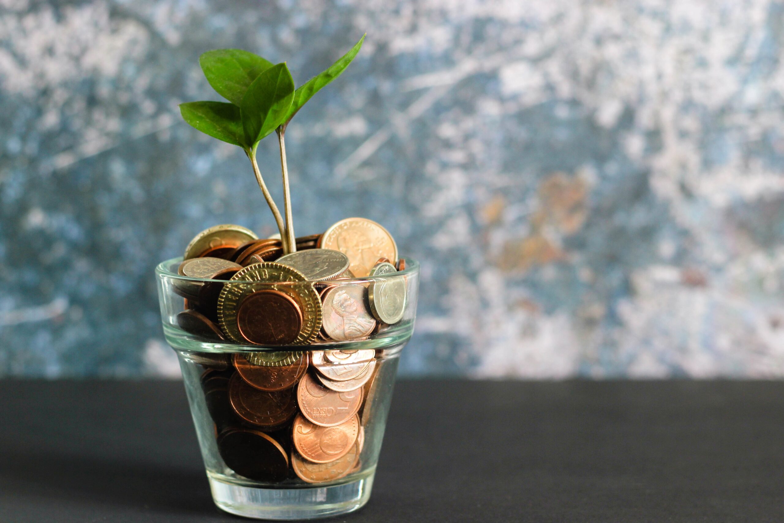 A glass full of coins and a plant