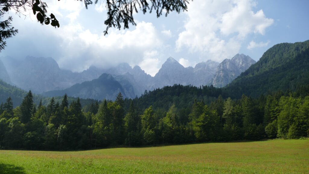 Photo of a view on forests and mountain in Slovenia