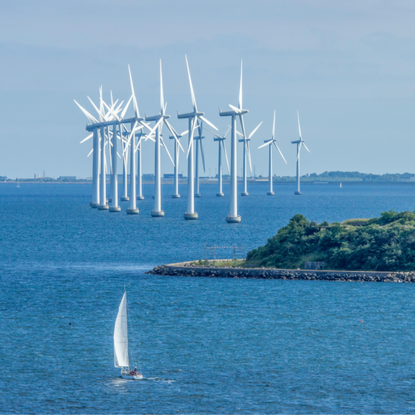 BLUECEE Offshore windfarm. Photo: © Anthony Moran