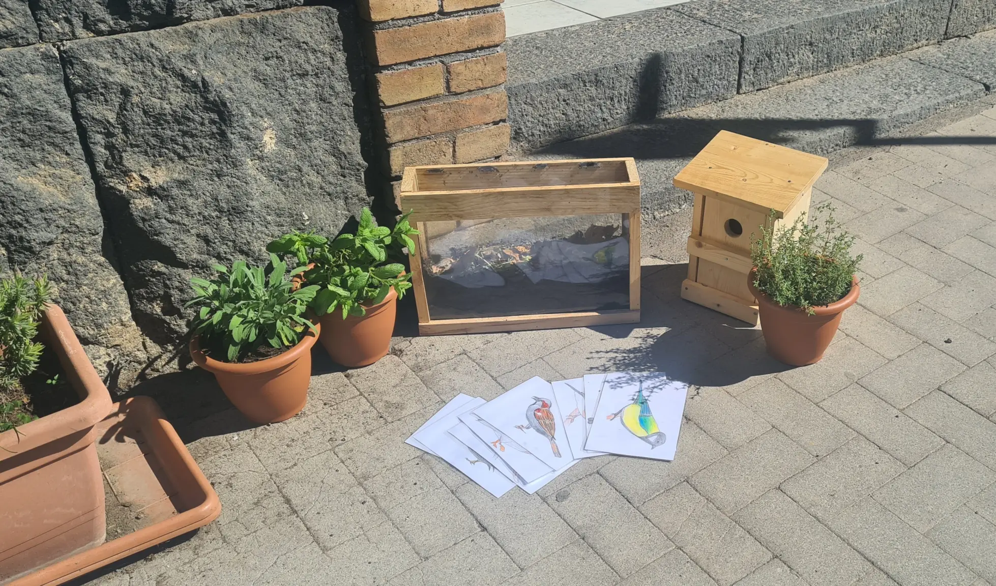 Material for the outdoor lessons: Plants, worm box, bird house, bird cards