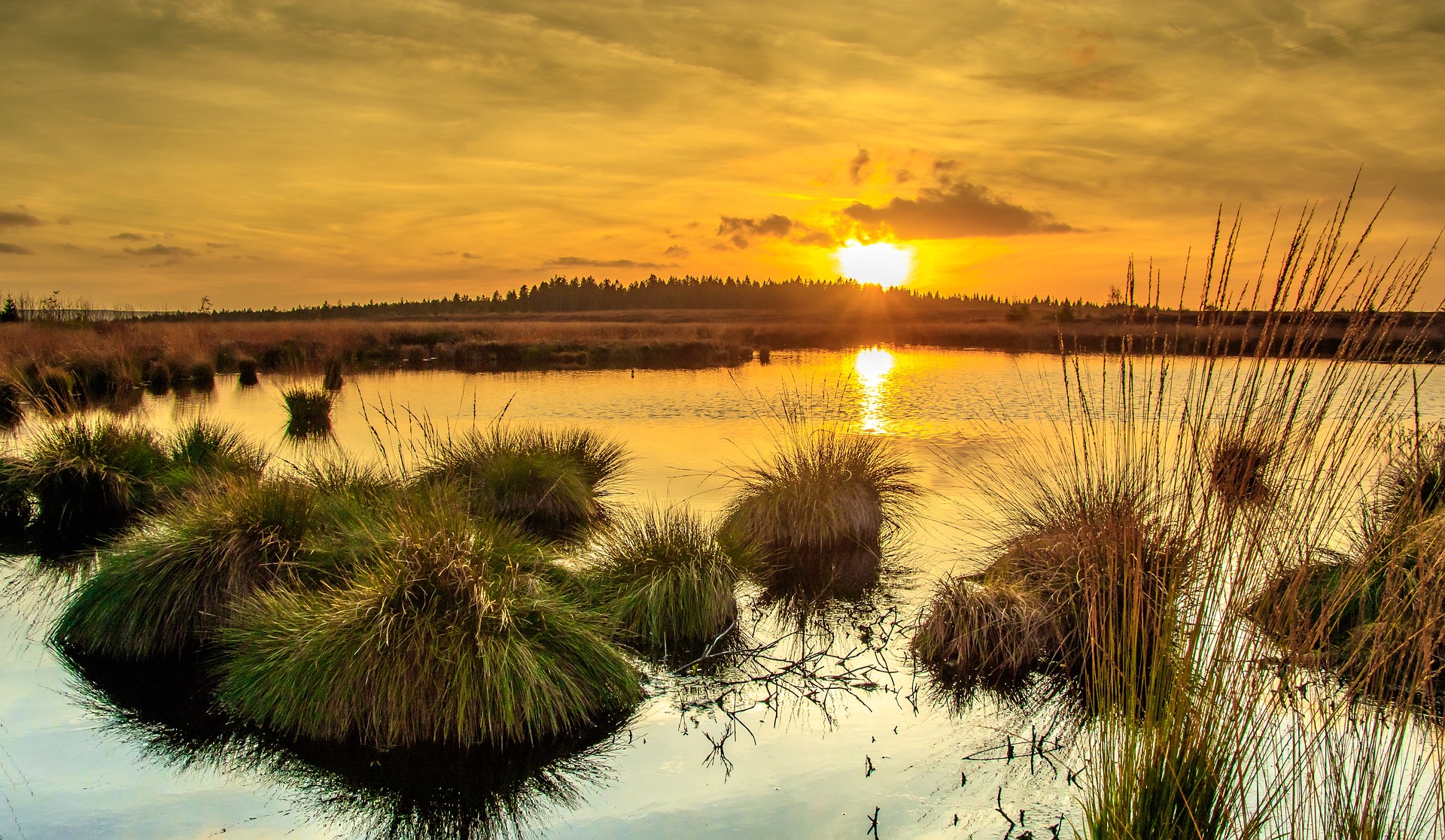 Sunset over a peatland