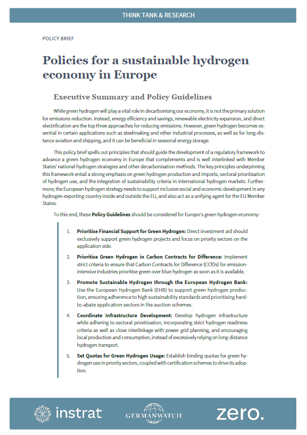 Policies for a Sustainable Hydrogen Economy in Europe 